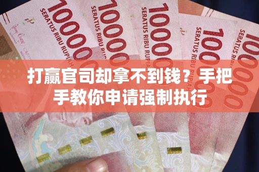 武汉打赢官司却拿不到钱？手把手教你申请强制执行