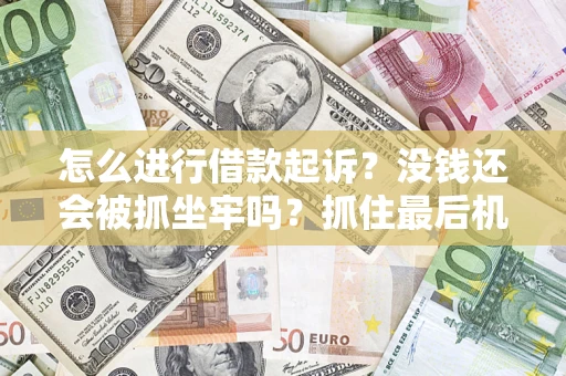 武汉怎么进行借款起诉？没钱还会被抓坐牢吗？抓住最后机会！