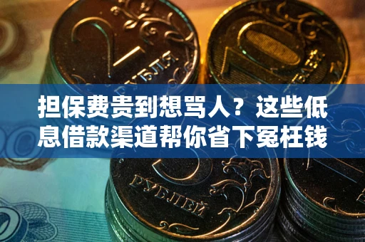 武汉担保费贵到想骂人？这些低息借款渠道帮你省下冤枉钱