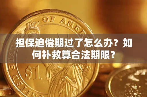 武汉担保追偿期过了怎么办？如何补救算合法期限？