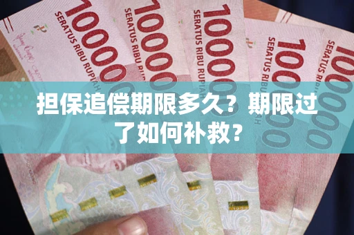 武汉担保追偿期限多久？期限过了如何补救？