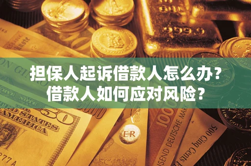 武汉担保人起诉借款人怎么办？借款人如何应对风险？
