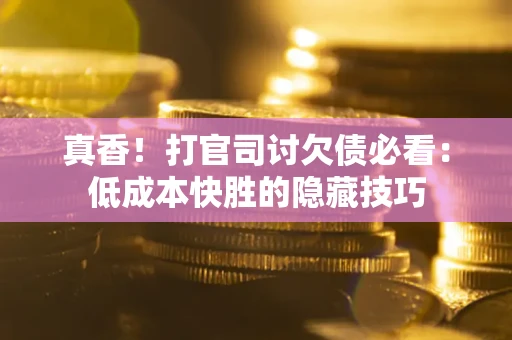 武汉真香！打官司讨欠债必看：低成本快胜的隐藏技巧