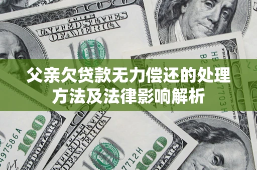 武汉父亲欠贷款无力偿还的处理方法及法律影响解析